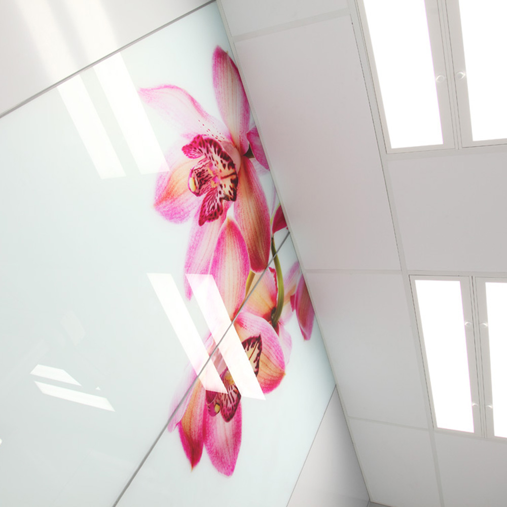 Regional Hospital-Poznan,Poland